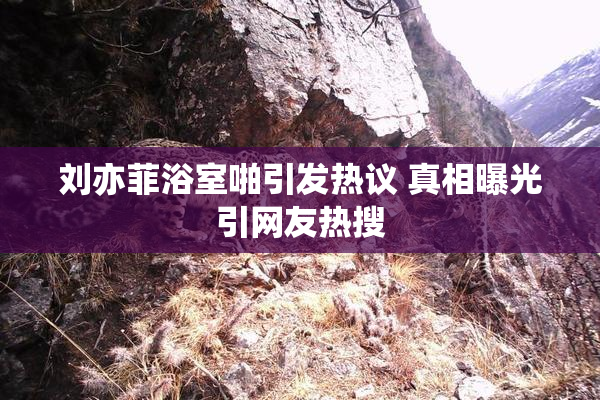 刘亦菲浴室啪引发热议 真相曝光引网友热搜