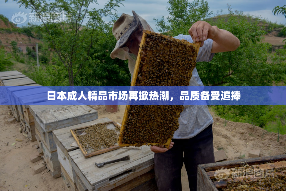 日本成人精品市场再掀热潮，品质备受追捧