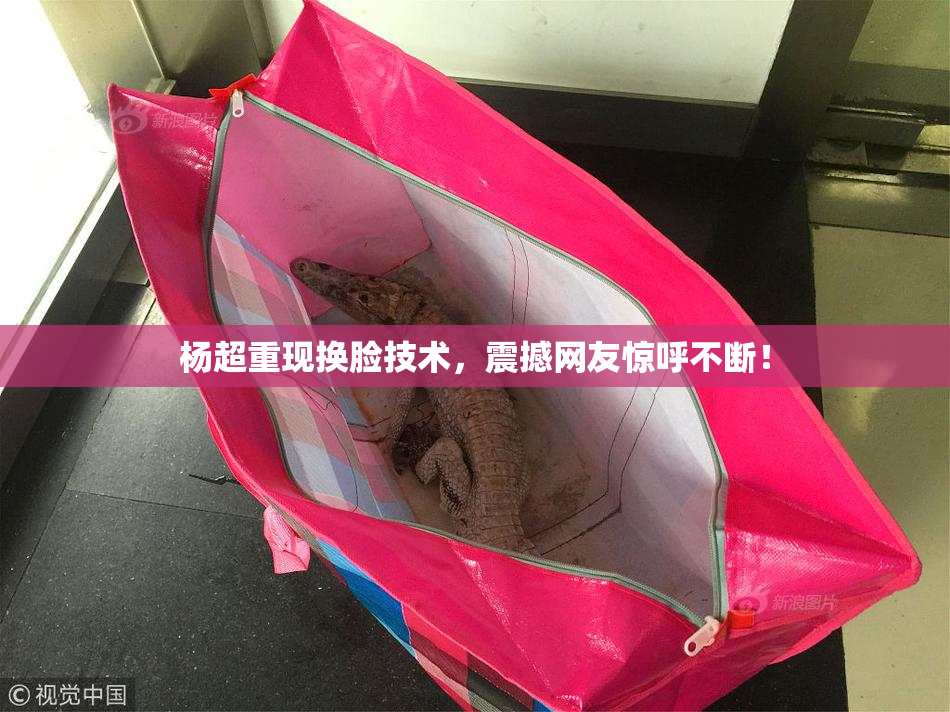 杨超重现换脸技术，震撼网友惊呼不断！
