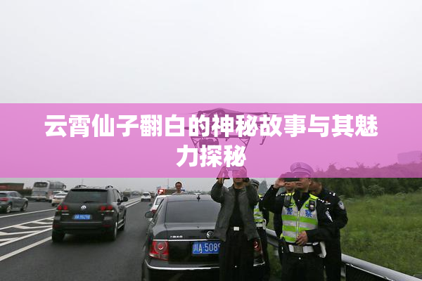 云霄仙子翻白的神秘故事与其魅力探秘