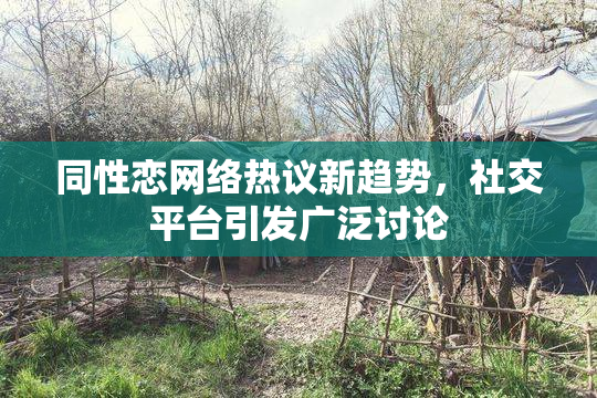 同性恋网络热议新趋势，社交平台引发广泛讨论