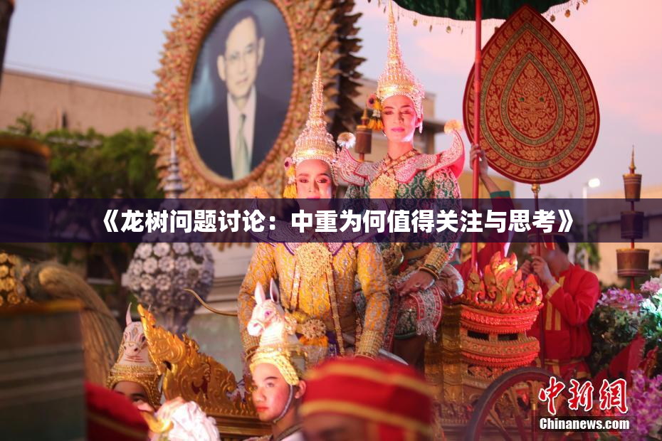 《龙树问题讨论：中重为何值得关注与思考》