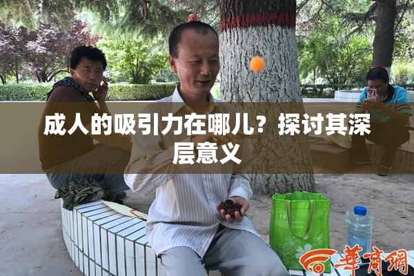 成人的吸引力在哪儿？探讨其深层意义