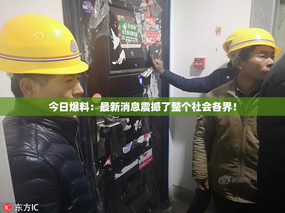 今日爆料：最新消息震撼了整个社会各界！