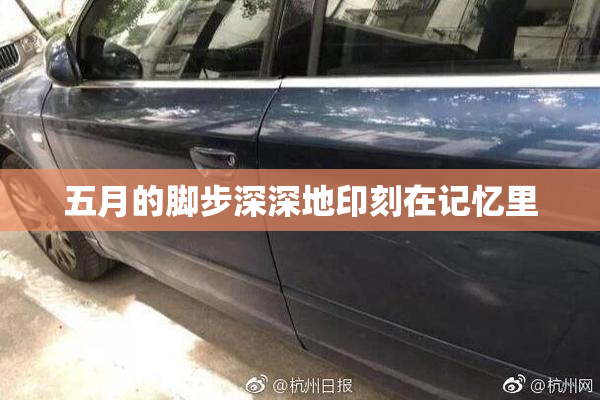 五月的脚步深深地印刻在记忆里