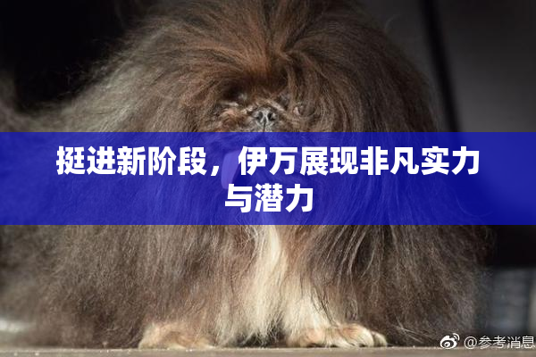 挺进新阶段，伊万展现非凡实力与潜力