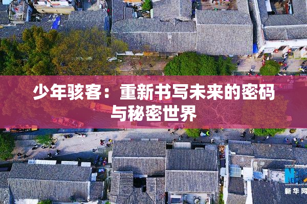 少年骇客：重新书写未来的密码与秘密世界