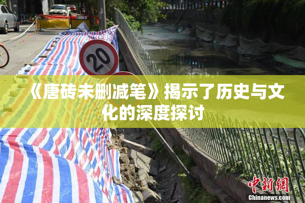 《唐砖未删减笔》揭示了历史与文化的深度探讨