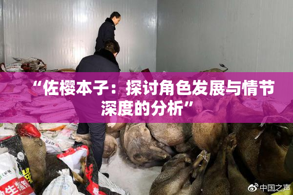 “佐樱本子：探讨角色发展与情节深度的分析”