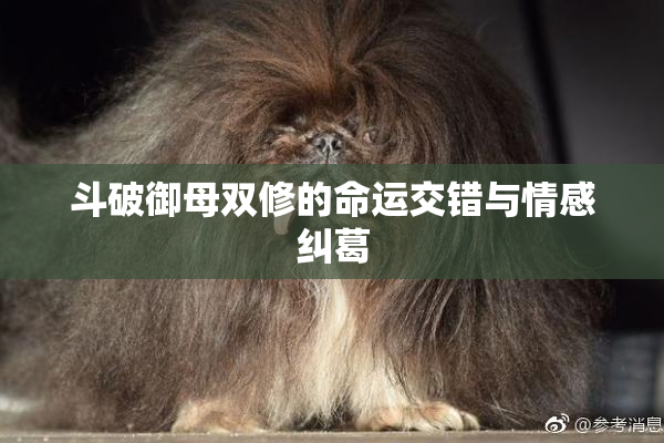 斗破御母双修的命运交错与情感纠葛