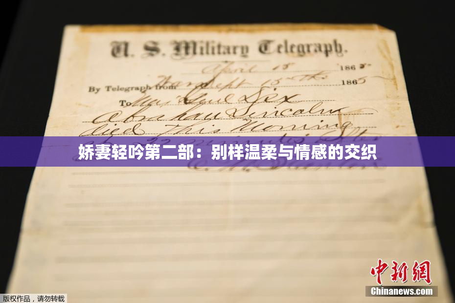 娇妻轻吟第二部：别样温柔与情感的交织