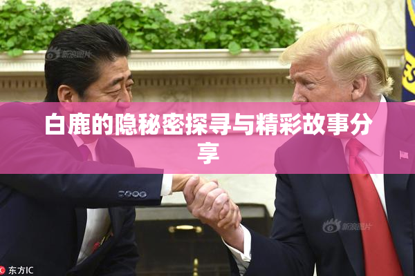 白鹿的隐秘密探寻与精彩故事分享