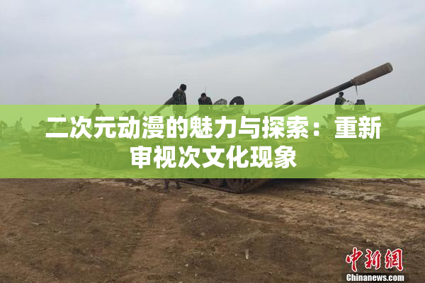 二次元动漫的魅力与探索：重新审视次文化现象