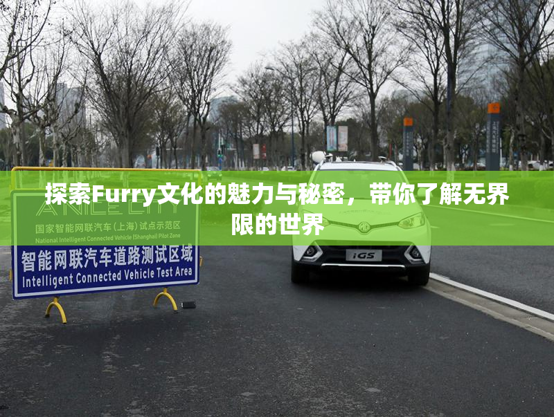 探索Furry文化的魅力与秘密，带你了解无界限的世界