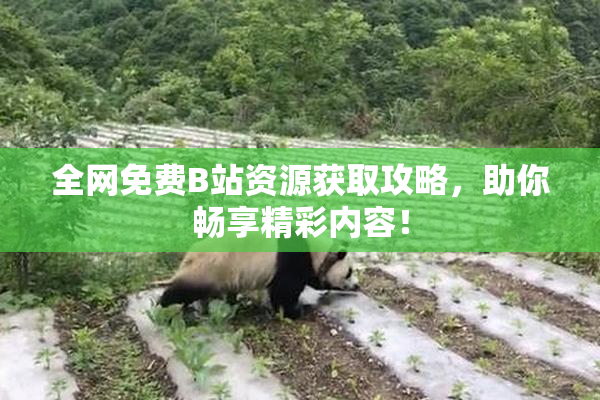 全网免费B站资源获取攻略，助你畅享精彩内容！