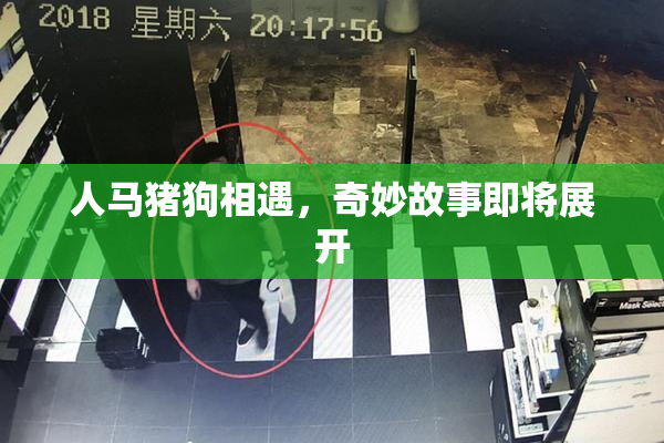 人马猪狗相遇，奇妙故事即将展开