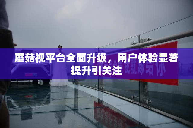 蘑菇视平台全面升级，用户体验显著提升引关注