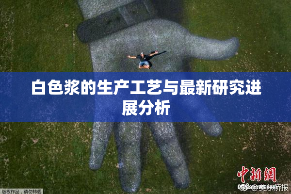 白色浆的生产工艺与最新研究进展分析