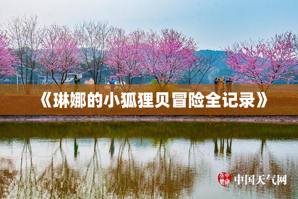 《琳娜的小狐狸贝冒险全记录》