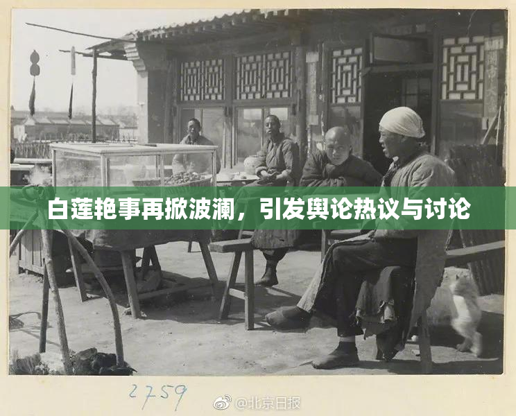白莲艳事再掀波澜，引发舆论热议与讨论