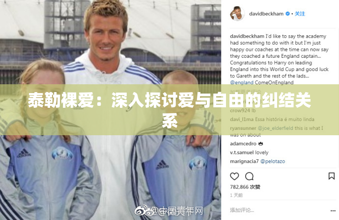 泰勒裸爱：深入探讨爱与自由的纠结关系