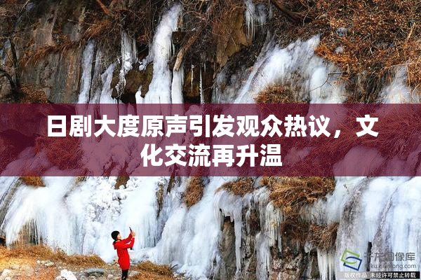 日剧大度原声引发观众热议，文化交流再升温
