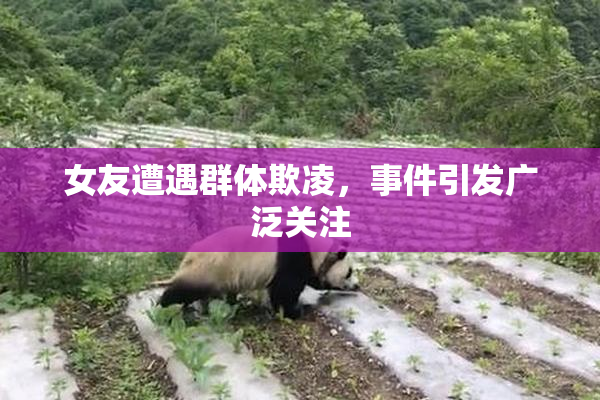 女友遭遇群体欺凌，事件引发广泛关注