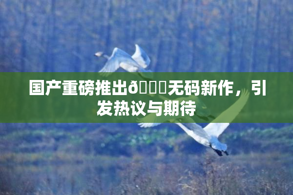 国产重磅推出🔞无码新作，引发热议与期待