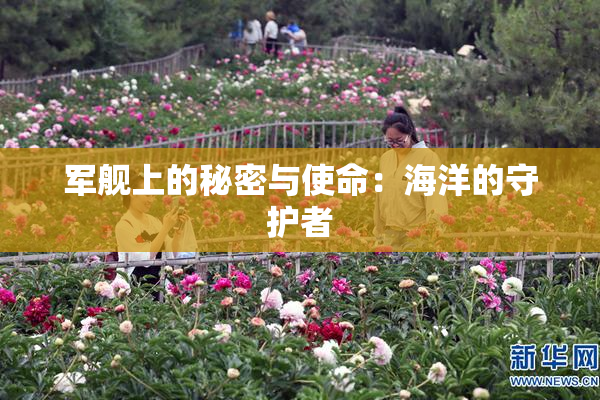 军舰上的秘密与使命：海洋的守护者