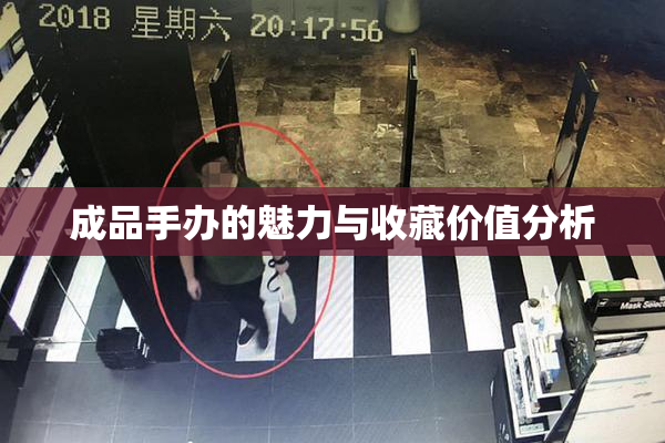 成品手办的魅力与收藏价值分析