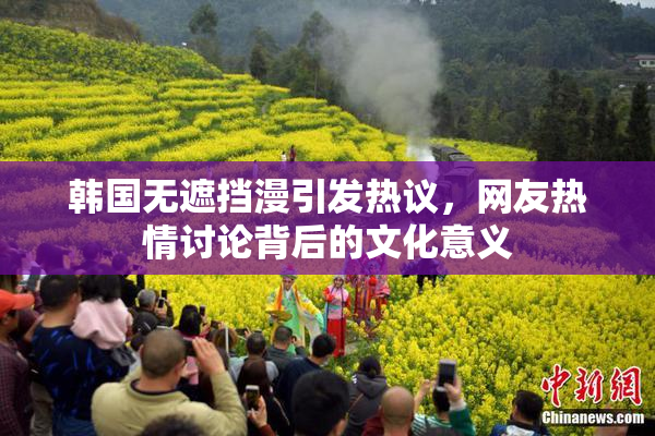 韩国无遮挡漫引发热议，网友热情讨论背后的文化意义