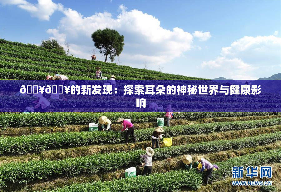 🔥🔥的新发现：探索耳朵的神秘世界与健康影响