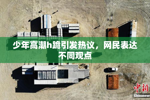 少年高潮h跪引发热议，网民表达不同观点