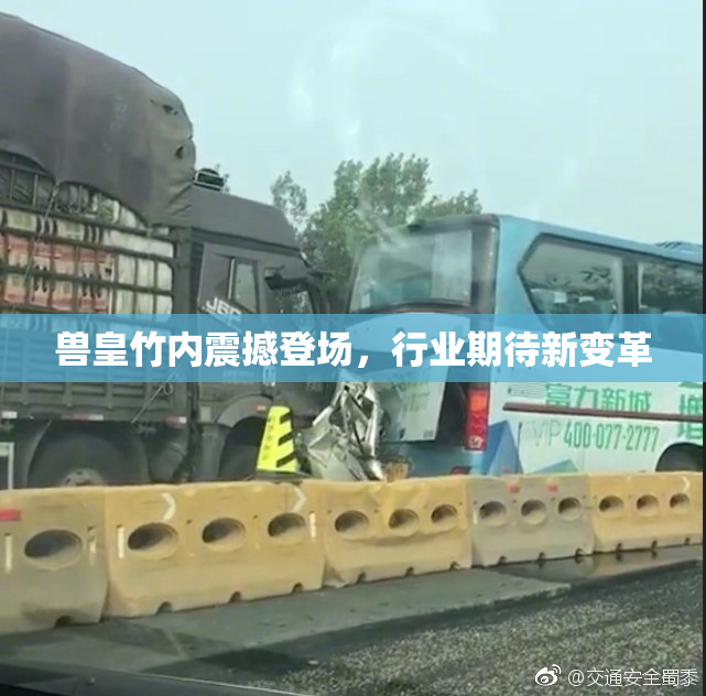 兽皇竹内震撼登场，行业期待新变革