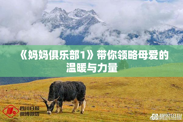 《妈妈俱乐部1》带你领略母爱的温暖与力量