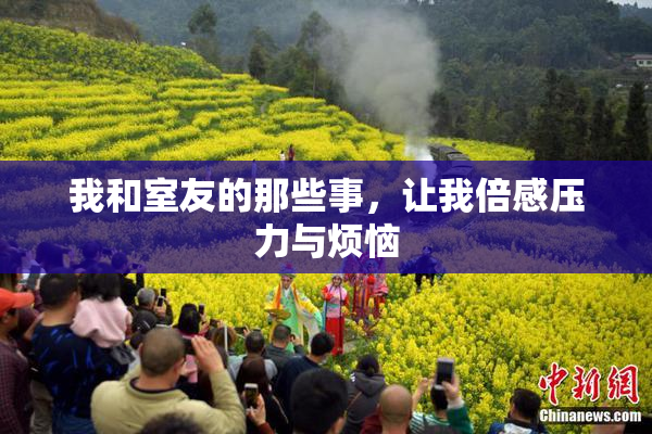 我和室友的那些事，让我倍感压力与烦恼