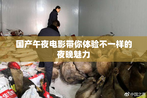 国产午夜电影带你体验不一样的夜晚魅力