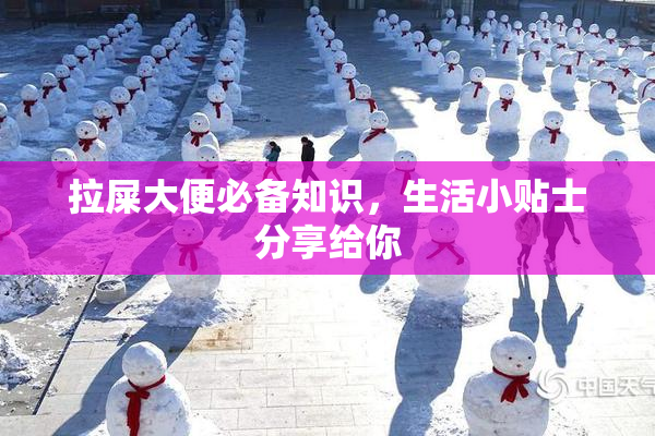拉屎大便必备知识，生活小贴士分享给你