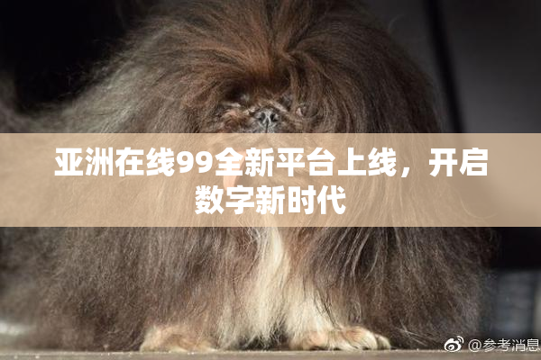 亚洲在线99全新平台上线，开启数字新时代