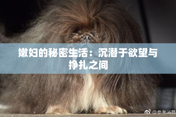 嫩妇的秘密生活：沉潜于欲望与挣扎之间