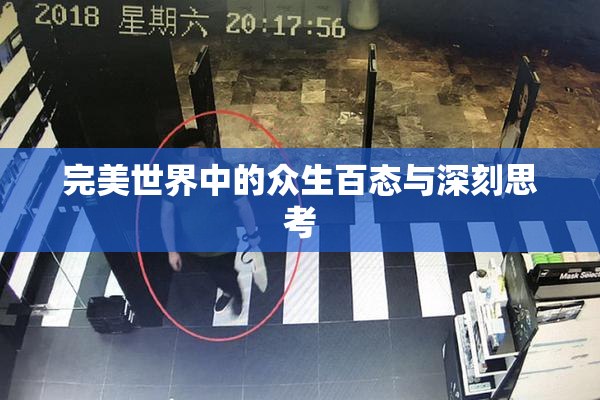 完美世界中的众生百态与深刻思考