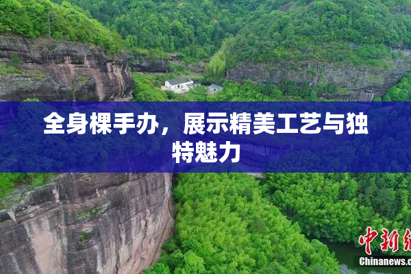 全身棵手办，展示精美工艺与独特魅力