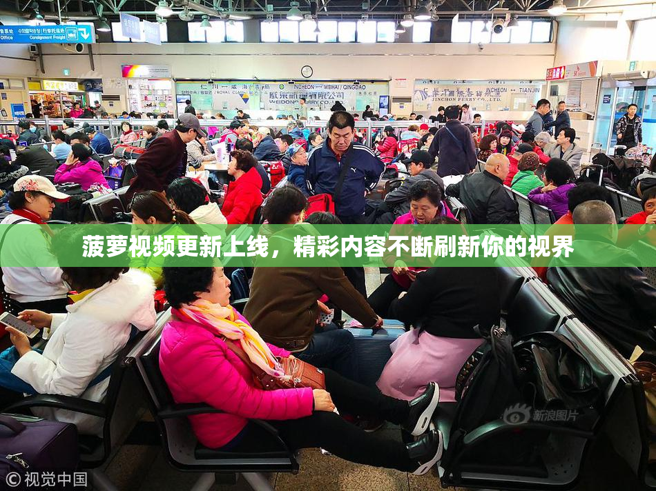 菠萝视频更新上线，精彩内容不断刷新你的视界