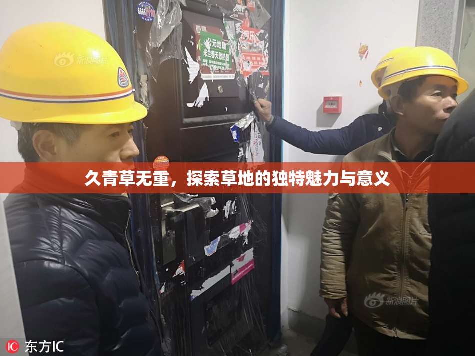 久青草无重，探索草地的独特魅力与意义