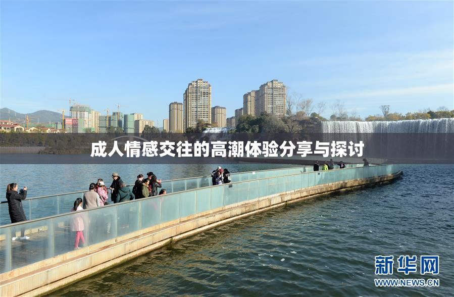 成人情感交往的高潮体验分享与探讨