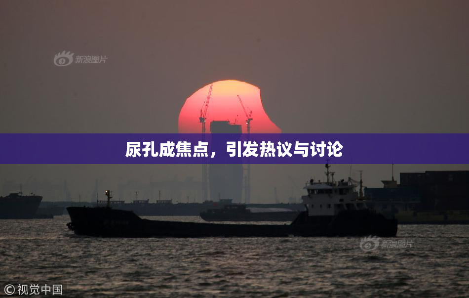 尿孔成焦点，引发热议与讨论