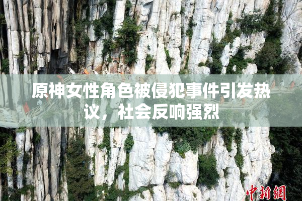 原神女性角色被侵犯事件引发热议，社会反响强烈