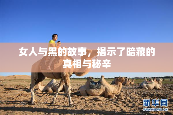 女人与黑的故事，揭示了暗藏的真相与秘辛
