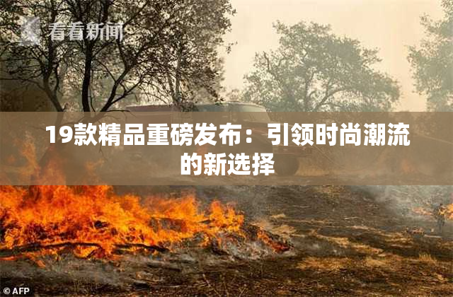 19款精品重磅发布：引领时尚潮流的新选择
