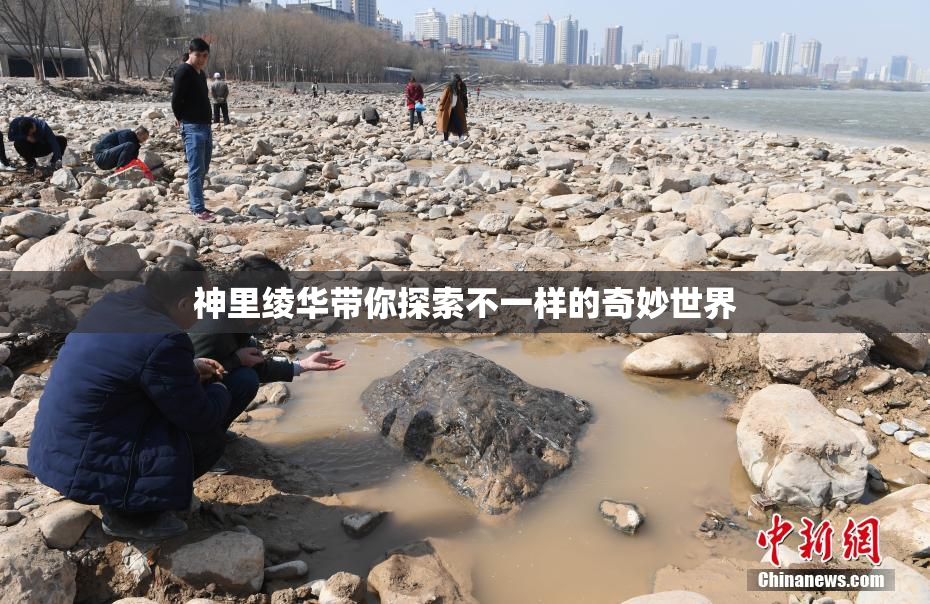 神里绫华带你探索不一样的奇妙世界